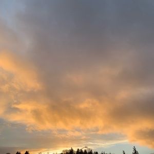 Meet your Posher, Dani